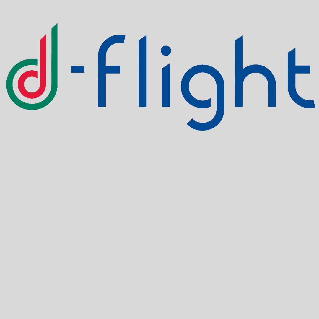 D-Flight